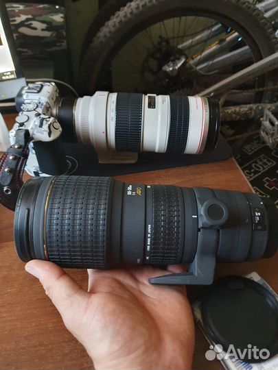 Sigma AF 100-300mm f/4D APO HSM Canon