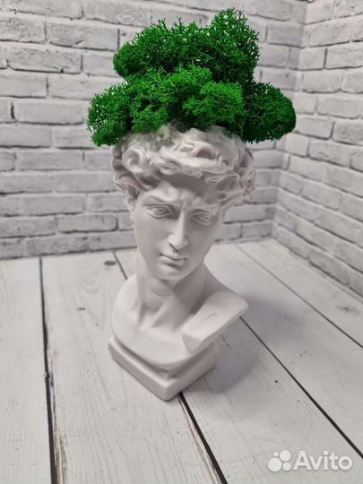 Кашпо из гипса + стабилизированный мох