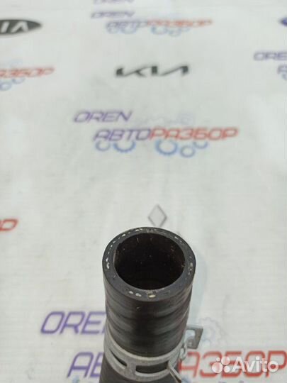 Патрубок радиатора Nissan Note 1.6 HR16 2013