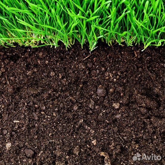 Плодородная земля. Чернозем