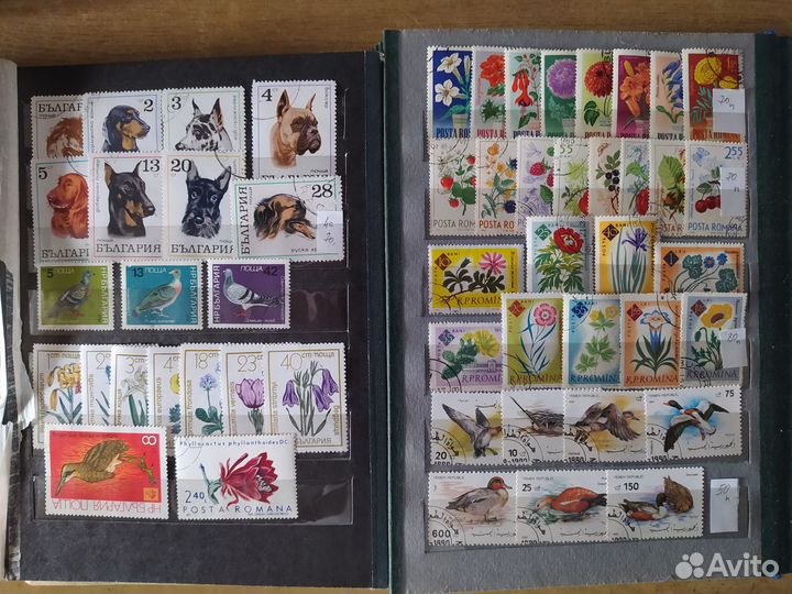 Почтовые марки флора фауна II