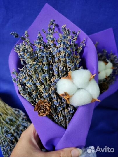 Букет лаванды (сухоцвет)