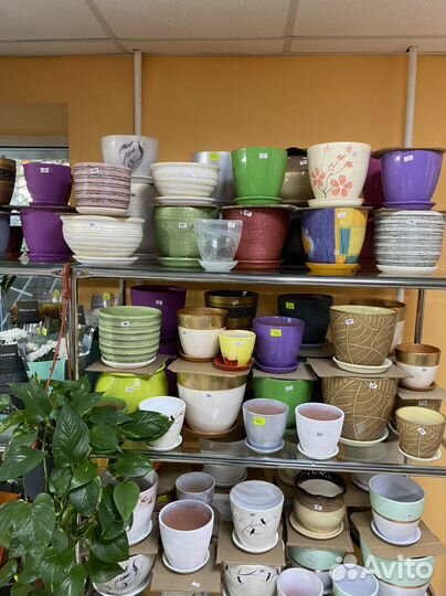 Керамические горшки, пластиковые горшки для цветов