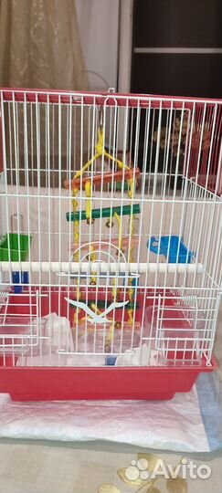 Клетка для волнистого попугайчика