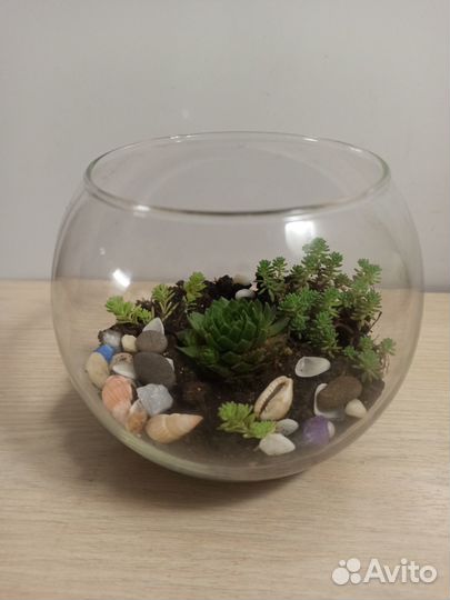 Флорариум