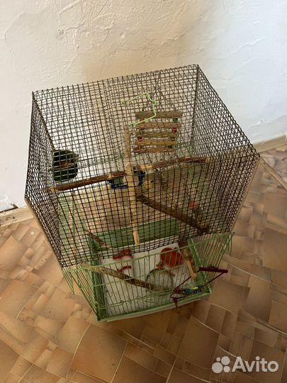 Клетка для попугая бу