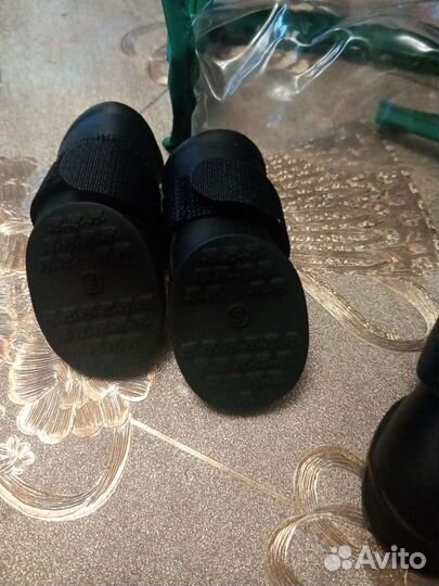 Обувь для маленьких собак