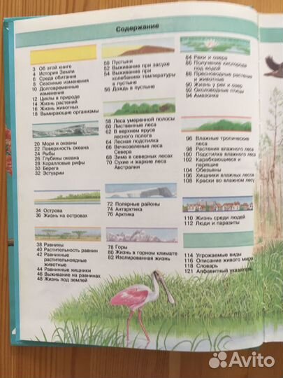 Книги о животных детям