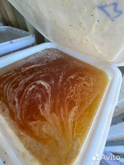 Свежий мёд из алтайского края