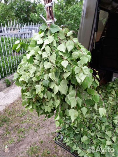 Банные веники