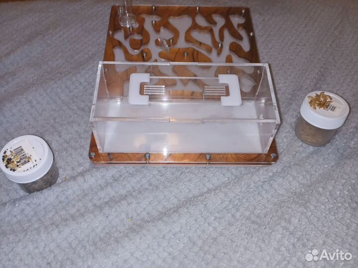 Муравьиная ферма