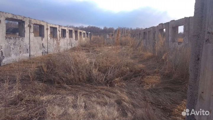 Фермерское хозяйство