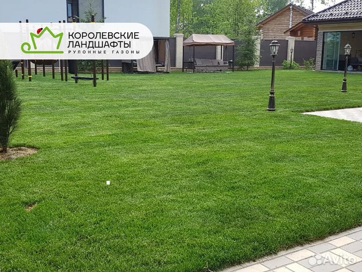 Рулонный газон