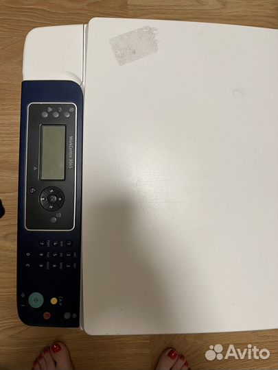 Принтер мфу