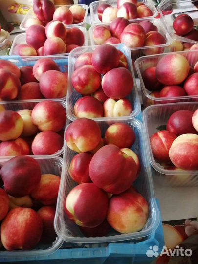 Нектарины персики