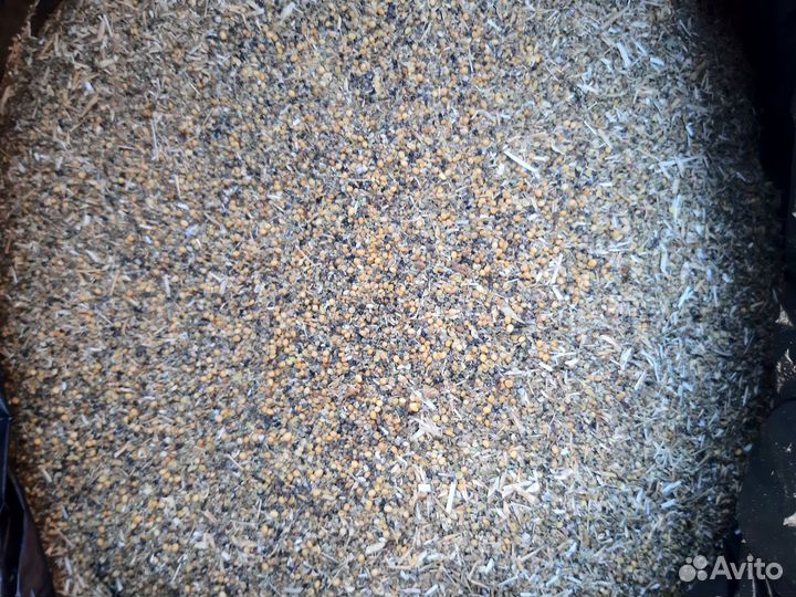 Горчица. Отходы горчицы