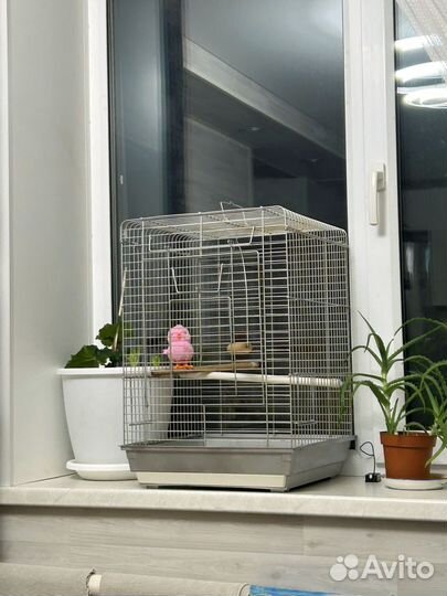 Клетка для попугая