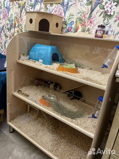 Стеллаж,дом,клетка для морских свинок