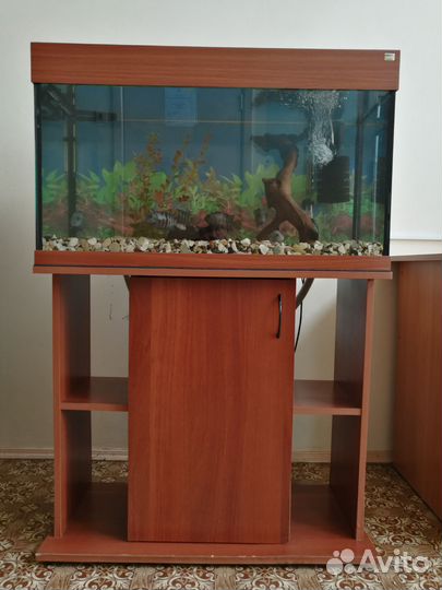 Аквариум с рыбами