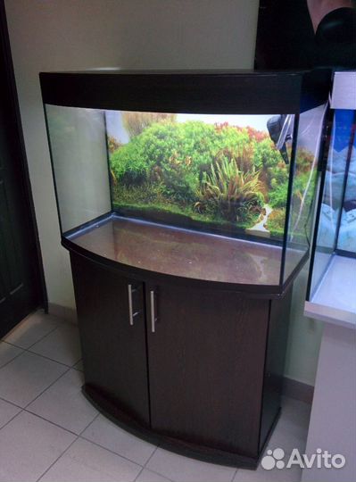 Аквариум 200 полукрулый, свет, биофильтр, фон