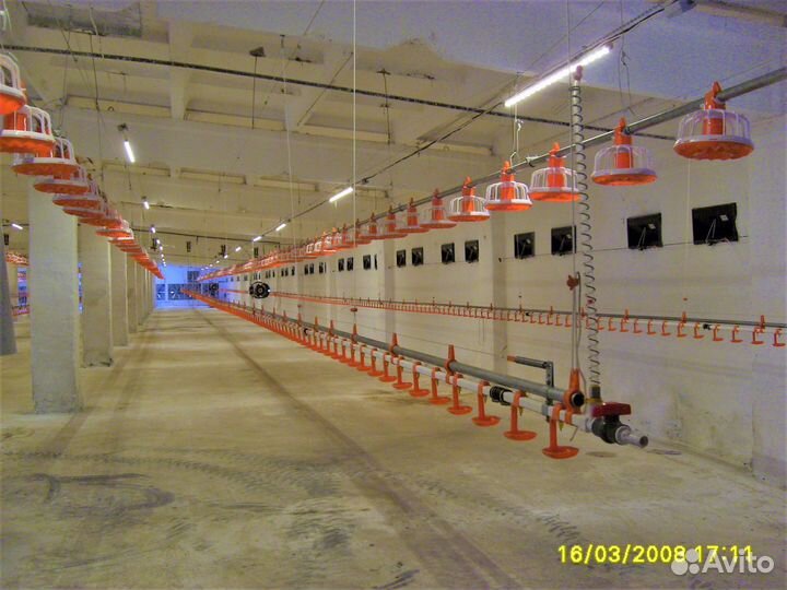 Линии поения и водоснабжения для птицы (бройлера)