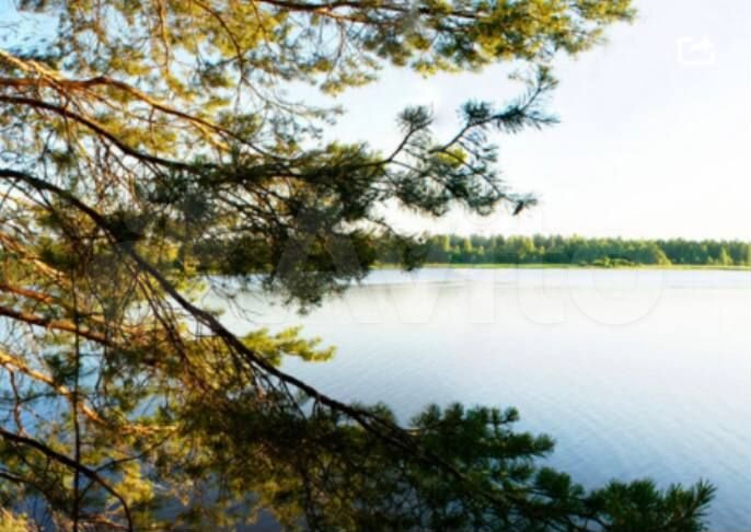 Участок 30 сот. (ИЖС)