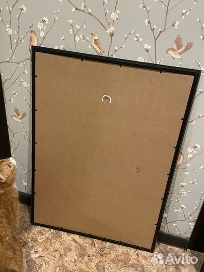 Картина Котики