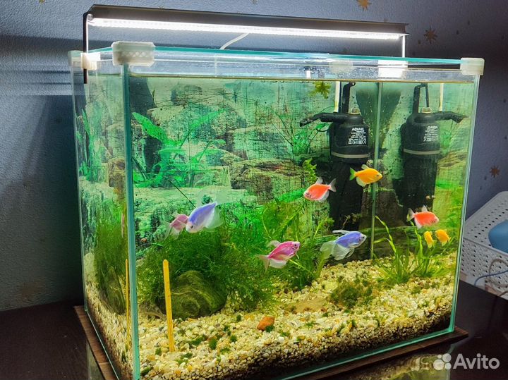Аквариум 49л (45х30х36,5см)