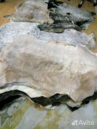 Шкурки (шкуры ) овчины