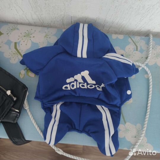 Одежда для маленьких собак