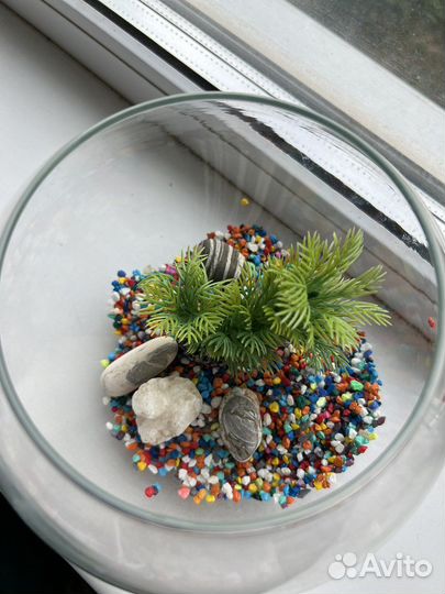 Круглый аквариум 5л