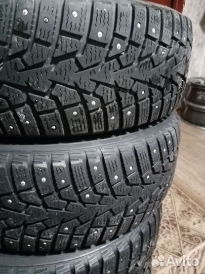 Maxxis ArcticTrekker NP3 205/60 R16 96T