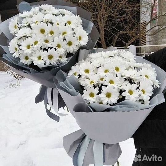 Хризантема. Букеты Цветы доставка