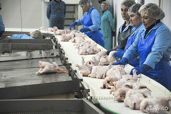 Рабочие. Вахта 30 смен. Ростовская область