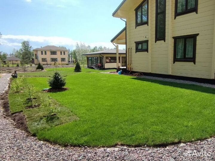 Рулонный газон под ключ