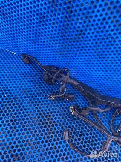 Проводка форсунок Ford Focus 1 2.0 split port