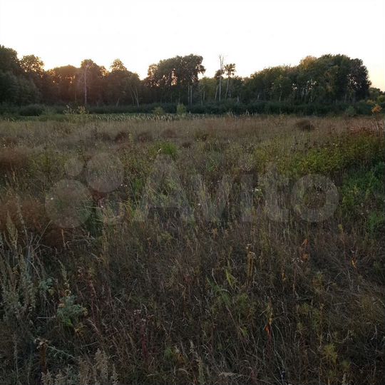 Участок 21 сот. (СНТ, ДНП)