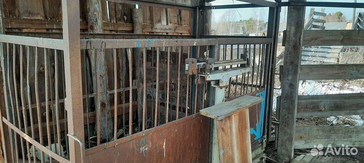 Весы для взвешивания скота