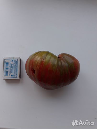 Семена томатов гномы