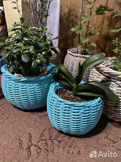 Кашпо из ротанга