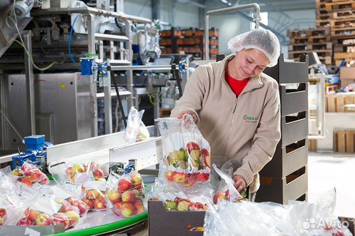 Рабочий линии (обработка овощей)