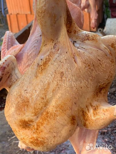 Домашняя курочка эко -Ферма 