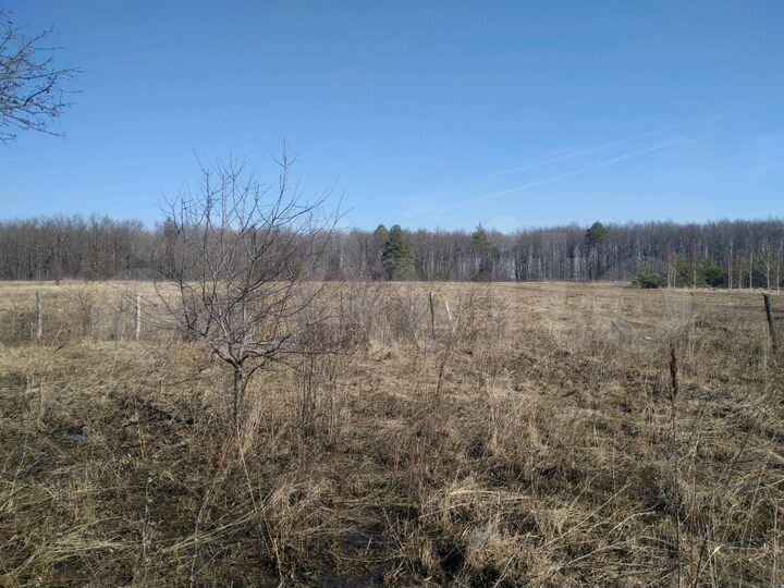 Дом 22 м² на участке 45 сот.