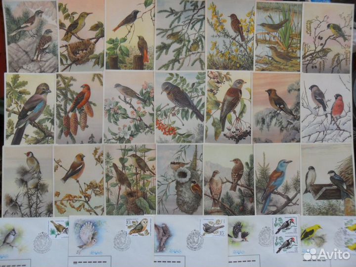 Охотники, рыболовы, звери, кони,птицы 1950х-60х г