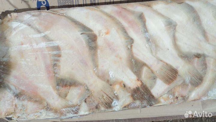 Камбала,палтус(белокорый) свежемороженый 22кг