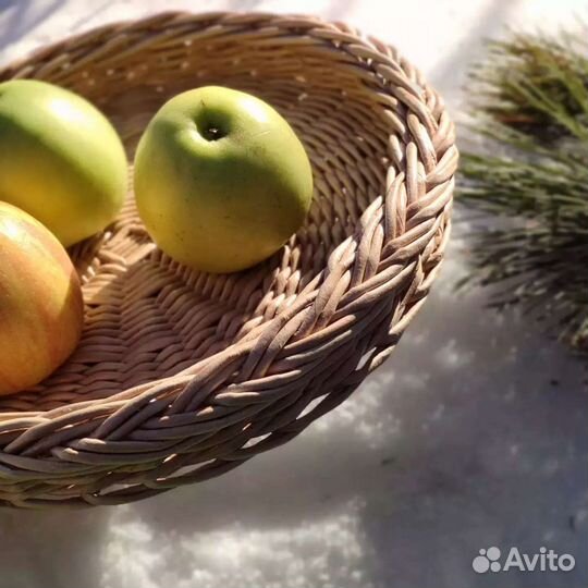 Плетёные подносы