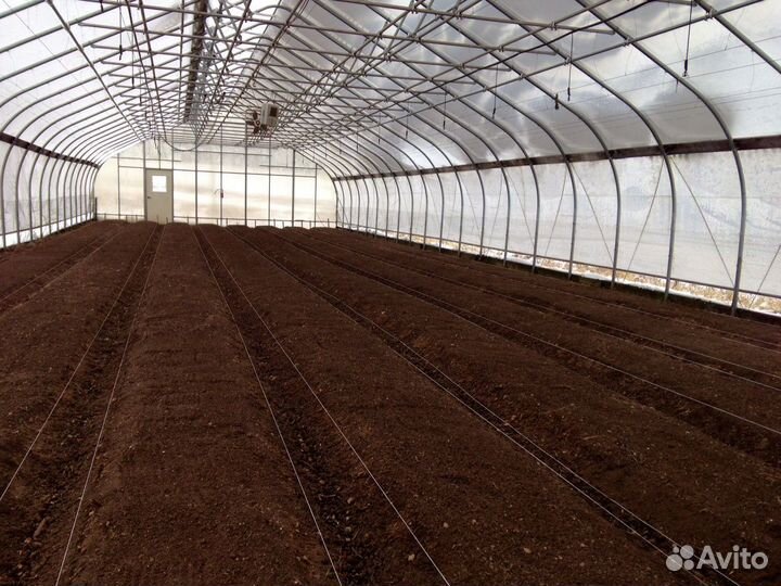 Перегной, навоз конский, навоз коровий