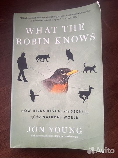 What the Robin knows