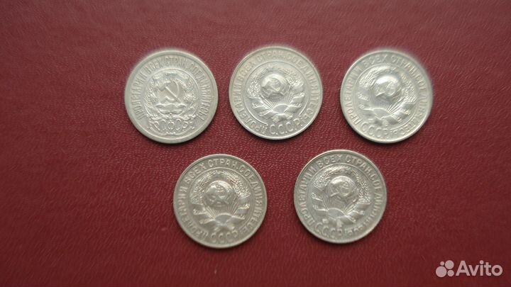 Суккуленты