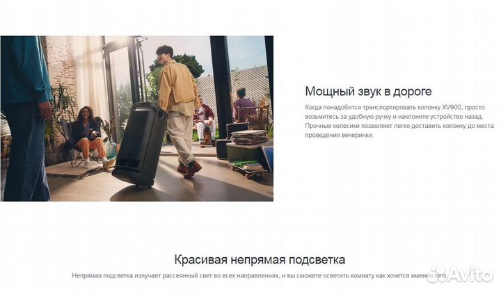 Музыкальная система Sony SRS-XV900 100 Вт